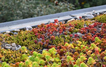 the cost of Bank Houses green roof installation