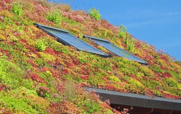 Bank Houses living roof systems