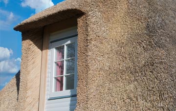 Bank Houses thatch roof disadvantages