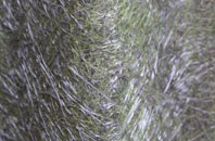 Bank Houses fibreglass roof work